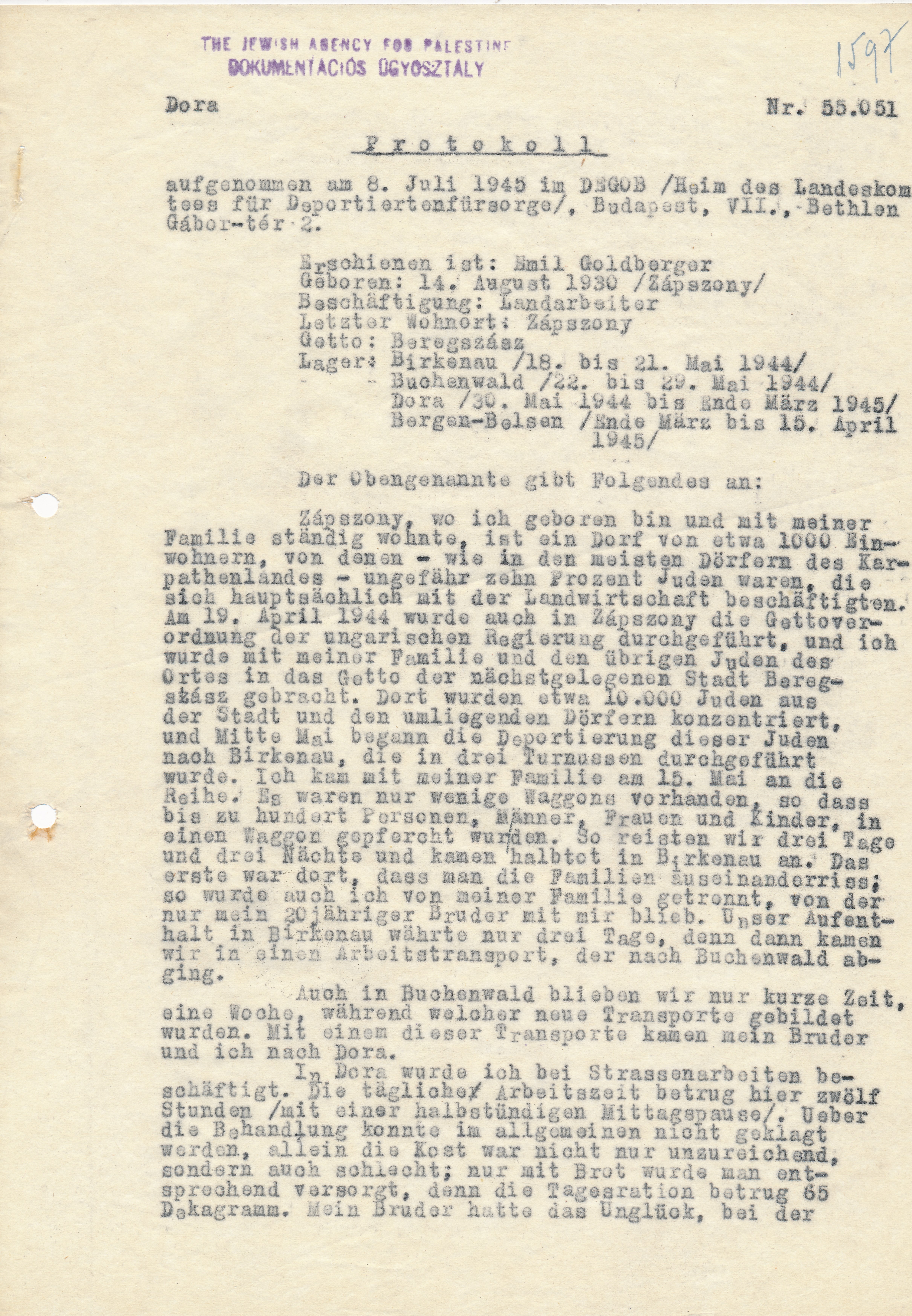 A Teenage Boy in Bergen-Belsen (Testimony of Emil Goldberger)